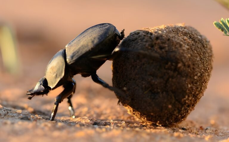 weird ways to make money