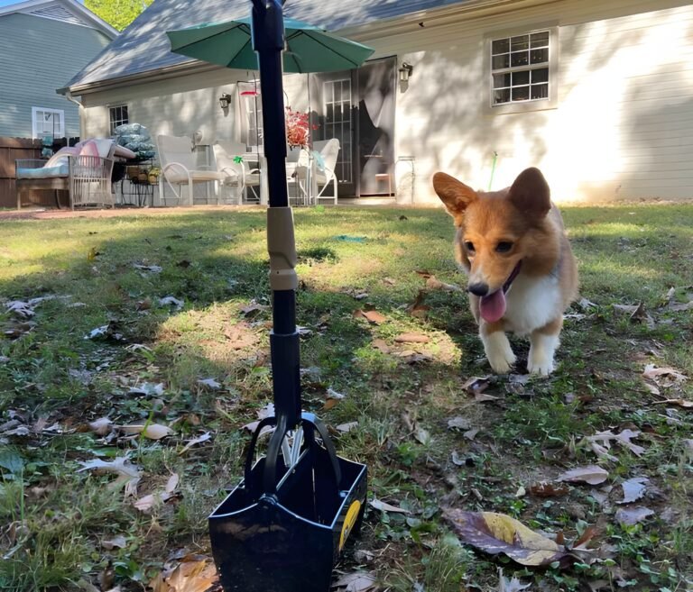 weird ways to make money