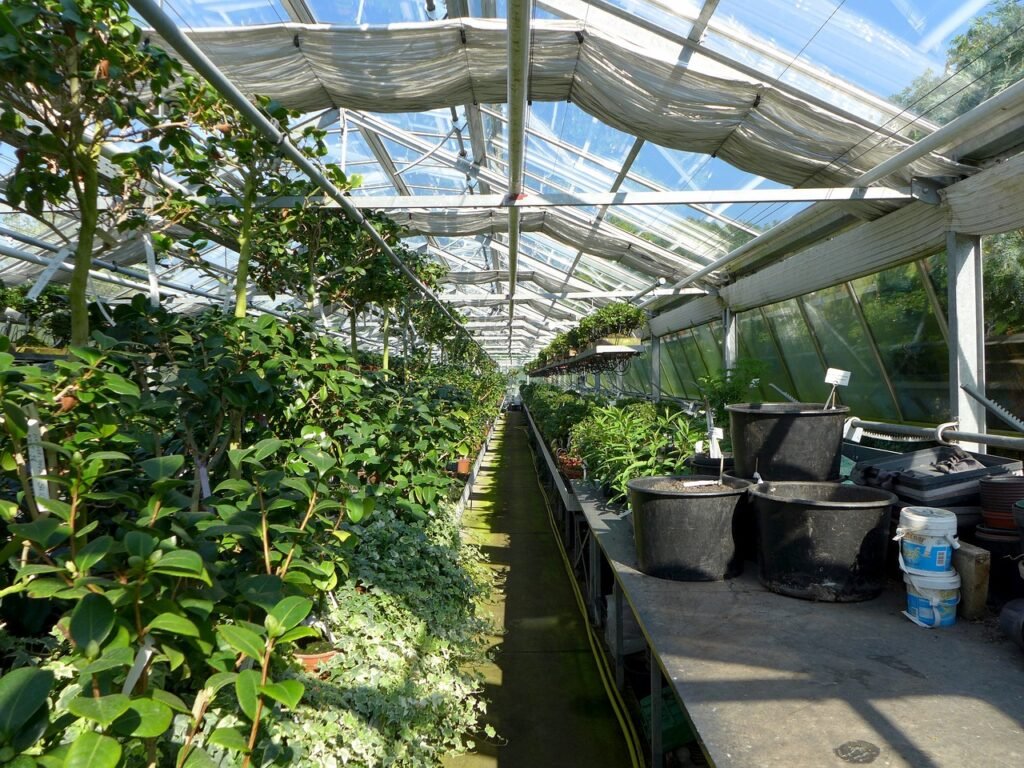 Plant Nursery