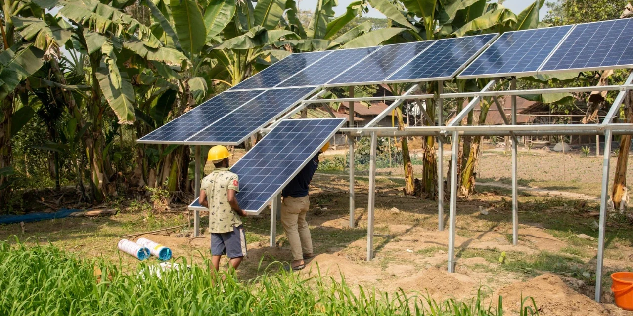 Solar Panels Can Save You Money