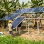 Solar Panels Can Save You Money