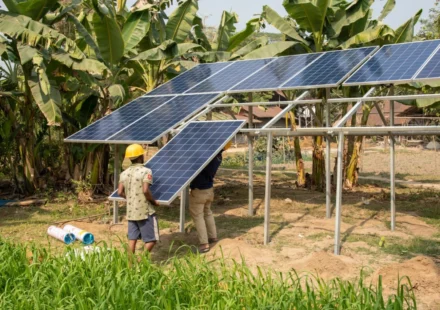 Solar Panels Can Save You Money